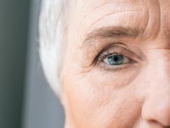 Alimentation et vieillissement oculaire