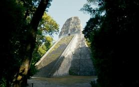 À la recherche des tombes royales mayas