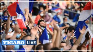 Un Chat Sauve In Extremis Par Des Spectateurs Alors Qu Il Tombait Du Toit D Un Stade En Plein Match De Football Americain