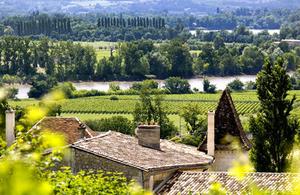 Primeurs 2018 : les meilleurs seconds vins de Bordeaux