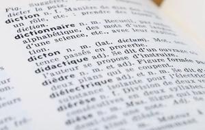 30 définitions drôles d'un faux dictionnaire
