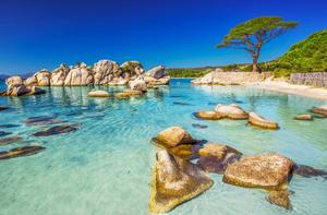 La Corse, le plus beau pays du monde en citations