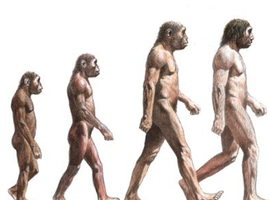 25 citations sur l'évolution et le darwinisme