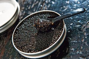 Lire la critique : Caviar Kaspia