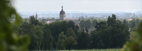 Champy, plus ancienne maison de vins de Bourgogne, passe aux mains d'AdVini