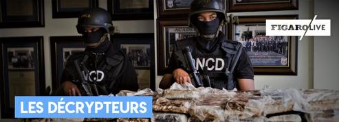 Cocaïne : pourquoi le trafic explose en France ?