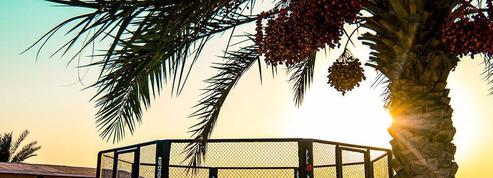 L'UFC inaugure son concept de «Fight Island» à Abou Dhabi