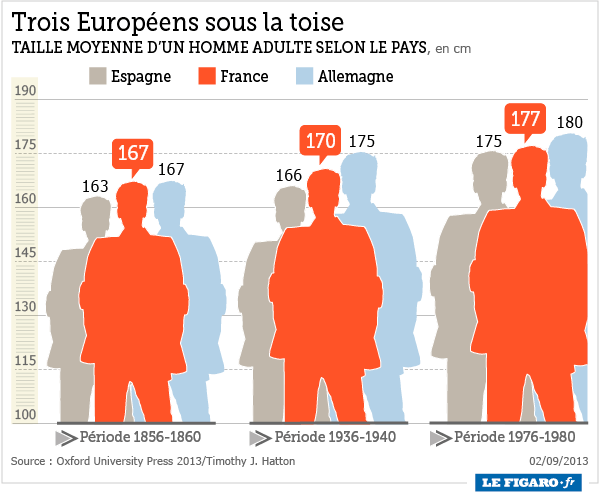 La Taille Moyenne D Un Homme - Communauté MCMS