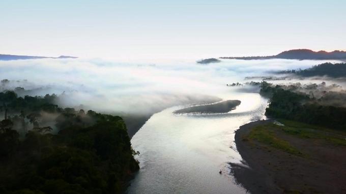 Amérique Du Sud Sur La Route Des Extrêmes Programme TV - Amérique du Sud, sur la route des extrêmes - La jungle