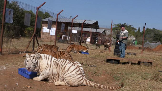 Programme TV Refuges pour animaux sauvages La vie en