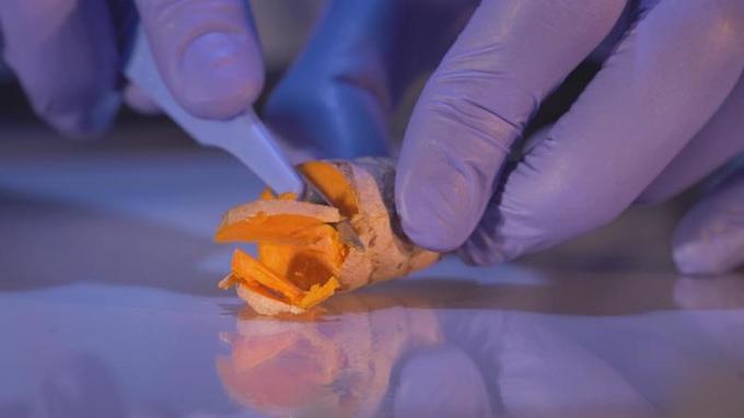 Cancer Et Alimentation Faut-il Tout Avaler Replay Programme TV - Cancer et alimentation, faut-il tout avaler