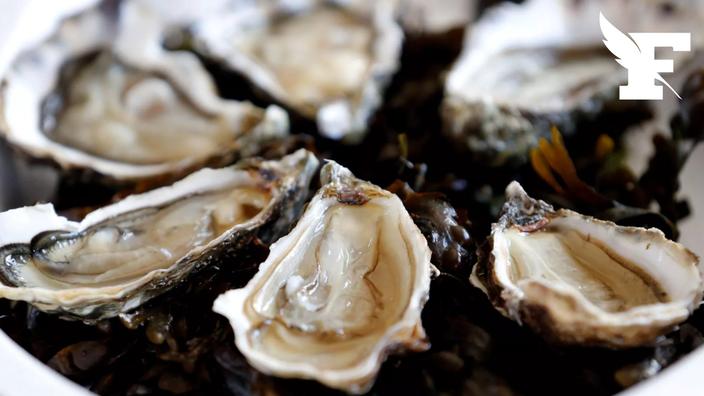 Loire-Atlantique : la vente d'huîtres interdite après l