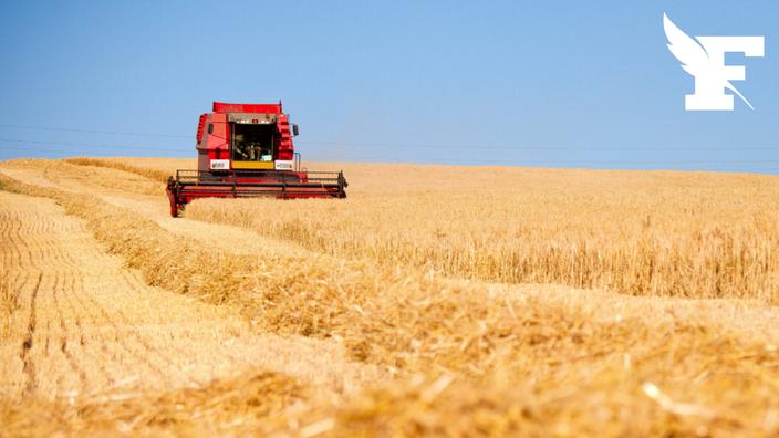 La France pourra-t-elle continuer à exporter son blé vers l