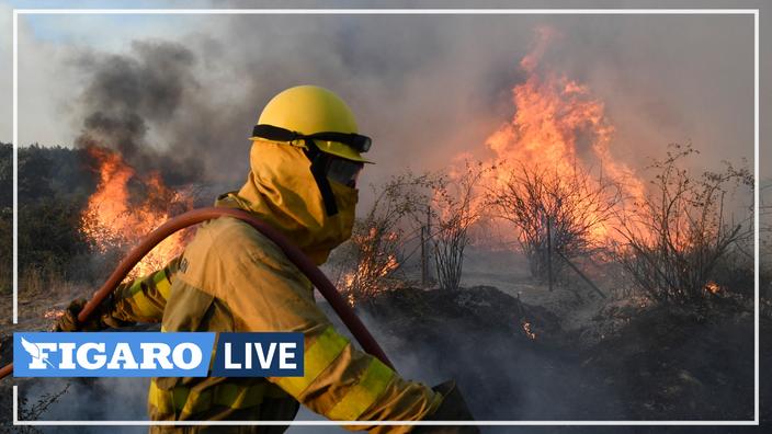 Reportage. Incendies en Gironde : comment un pare-feu a sauvé les