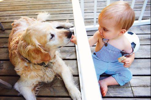 Moins D Infections Pour Les Bebes Au Contact De Chiens