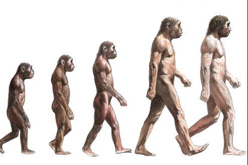 L Homme Continue T Il A Evoluer