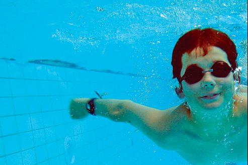 Papillomavirus piscine