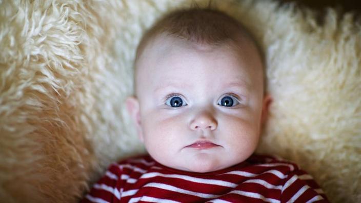 Faire Dormir Bebe Sur De La Fourrure Reduirait Les Allergies Faire Dormir Bebe Sur De La Fourrure Reduirait Les Allergies