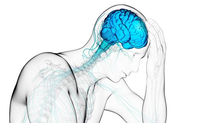 Douleur L Influence Du Psychisme Douleur L Influence Du Psychisme