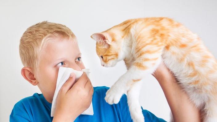 Cohabiter Avec Un Animal Auquel On Est Allergique