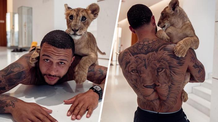 Memphis Depay Critique Apres Avoir Pose Avec Un Felin Dans Un Appartement Scan Sport