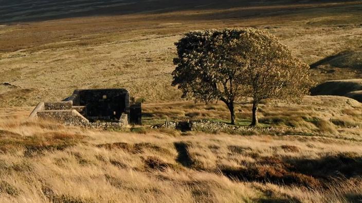 Les Hauts De Hurlevent Résumé Par Chapitre