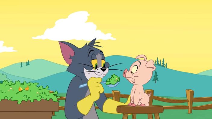 Tom Et Jerry Show Saison 5 Épisode 9 Tout Est Beau Dans Le Cochon