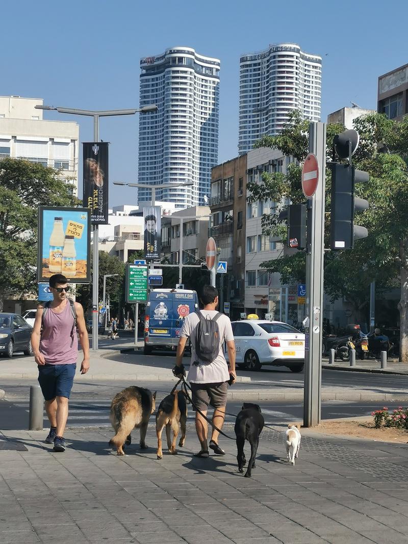 échappées Belles Israel Sous Le Soleil De Tel Aviv Programme TV - Échappées belles - Israël, sous le soleil de Tel-Aviv