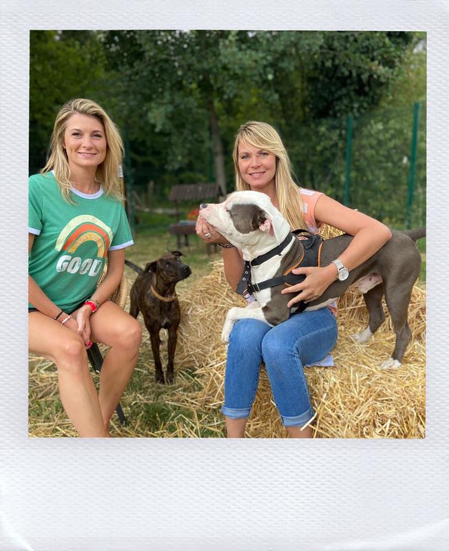 Programme TV Animaux à adopter présenté par Elodie