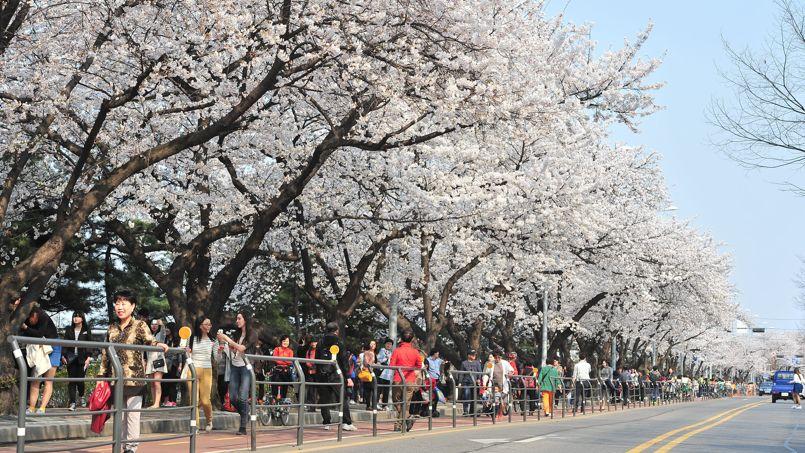 Un Jour A Seoul Scan