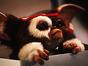 Gremlins 2, la nouvelle génération