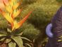 Les as de la jungle à la rescousse