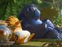 Les as de la jungle à la rescousse