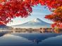Ultimate Japan