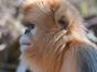 Destination Wild : Les merveilles de la Chine