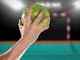 Handball : Liqui Moly StarLigue - Montpellier / Saint-Raphaël