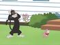 Tom et Jerry Show