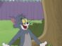 Tom et Jerry Show