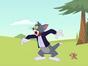 Tom et Jerry Show