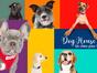 Dog House : un chien pour la vie