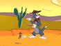 Tom et Jerry Show