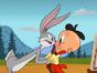 Looney Tunes Cartoons