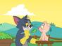 Tom et Jerry Show