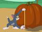 Tom et Jerry Show
