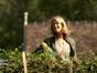Les potagers de Julie