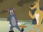 Tom et Jerry Show
