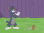 Tom et Jerry Show