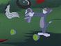 Tom et Jerry Show