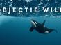 Objectif Wild