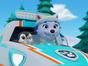 Paw Patrol, la Pat'Patrouille